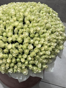 kompozitsiya-v-korobke-gold:-tsvety,-kotorye-govoryat-«ty-moe-zoloto»